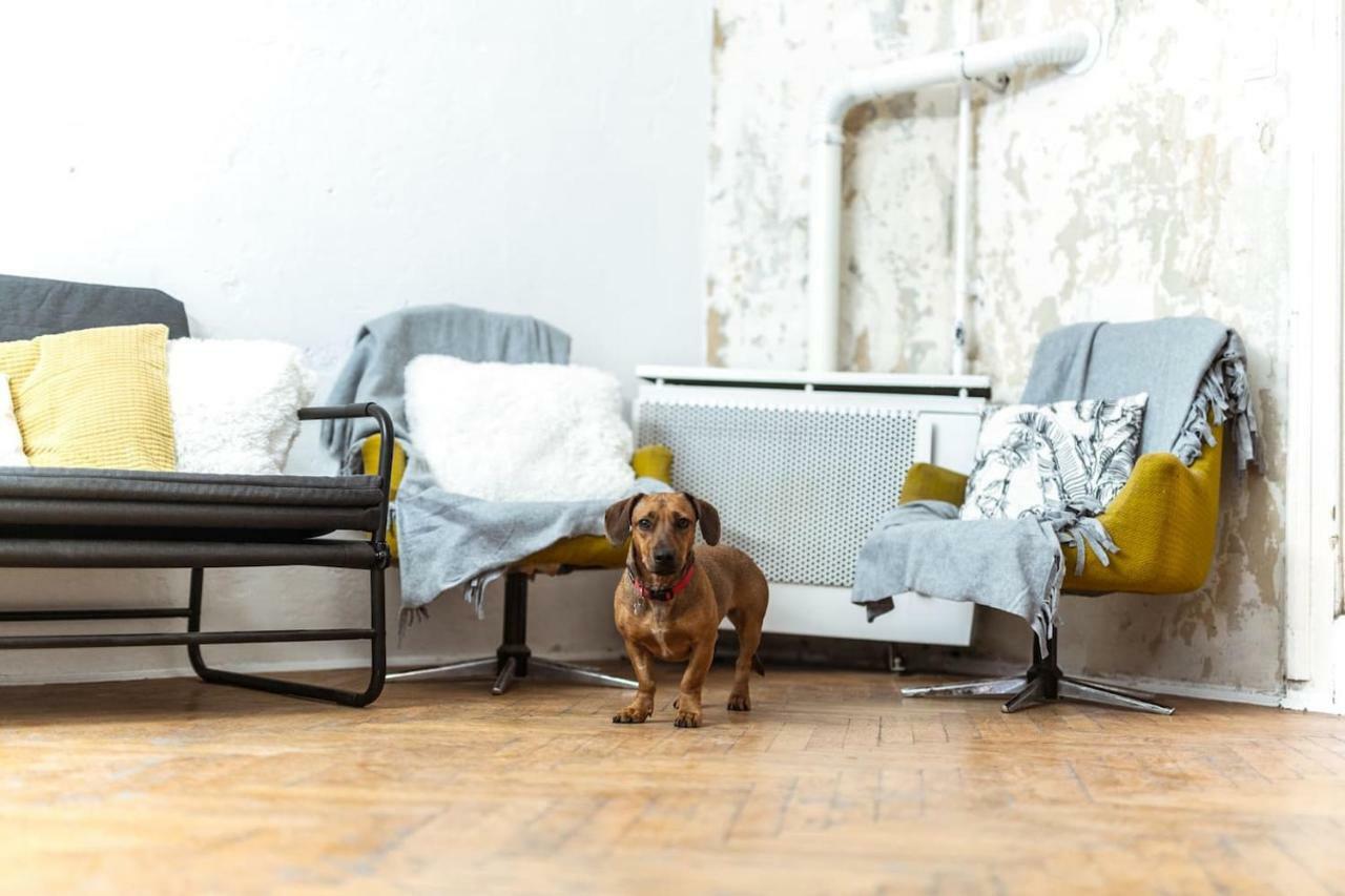 A Szoba Apartman Pécs Zewnętrze zdjęcie
